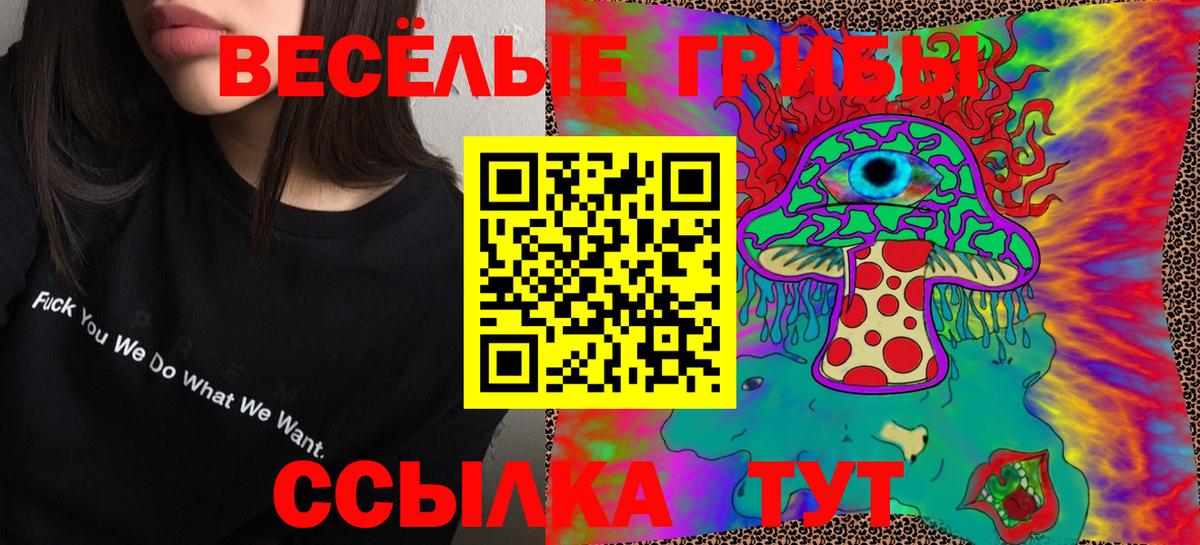 Псилоцибиновые грибы мухоморы  Вход с VPN  где купить наркоту  Тула 