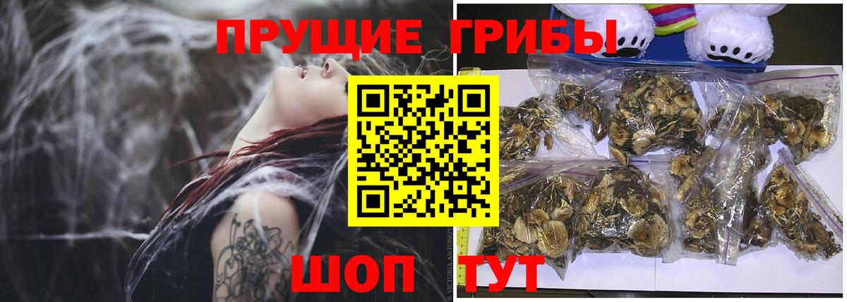Галлюциногенные грибы GOLDEN TEACHER Тула