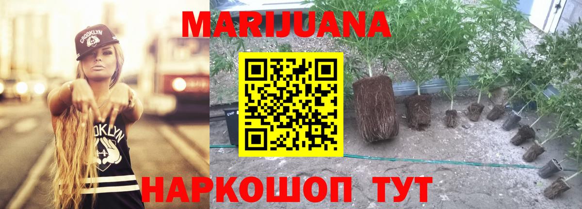 Бошки Шишки план  Конопля LSD WEED  Тула  МАРИХУАНА индика  Вход с VPN  МАРИХУАНА конопля 